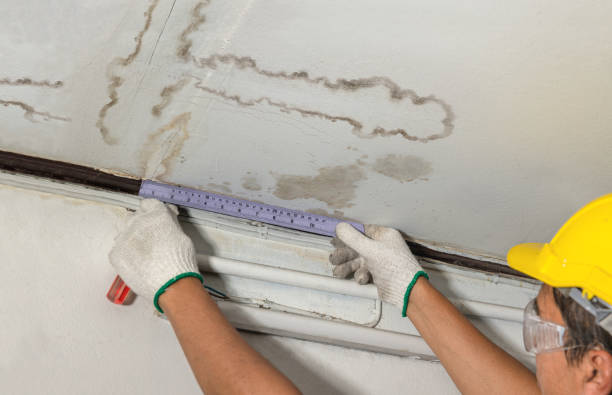 Reliable Mold Remediation contractor in Reedsville, OH by Water Damage Irwin